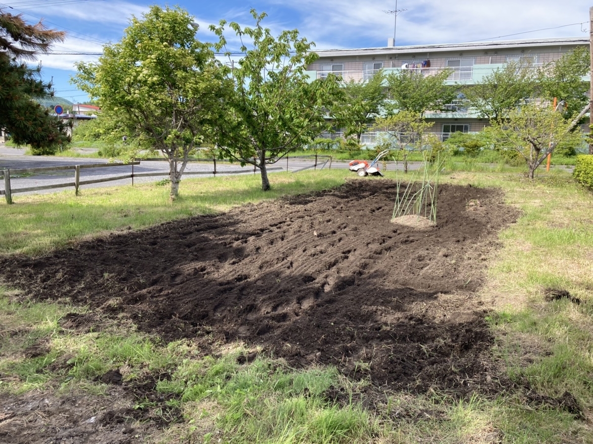 f:id:Betty0918:20210607221525j:plain