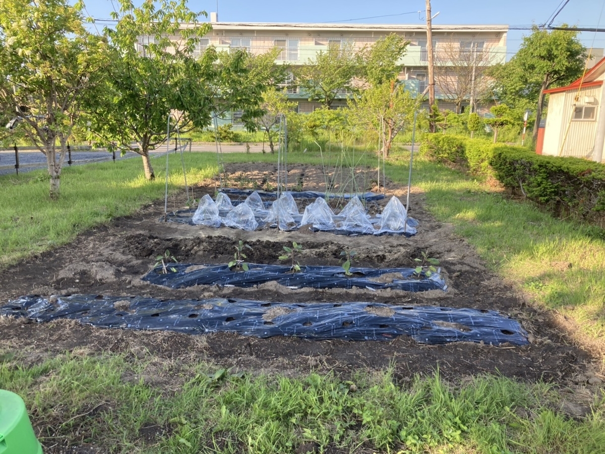 f:id:Betty0918:20210607221938j:plain