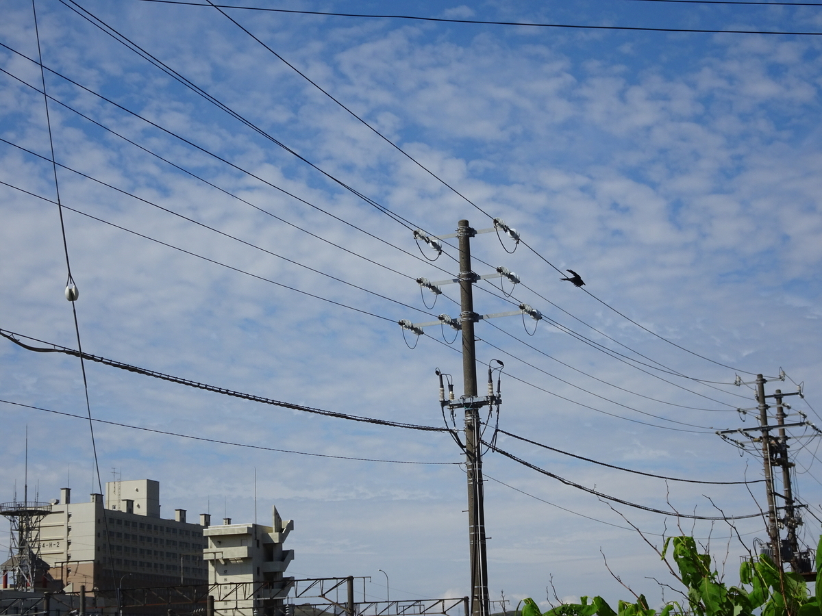 f:id:Betty0918:20210616194751j:plain