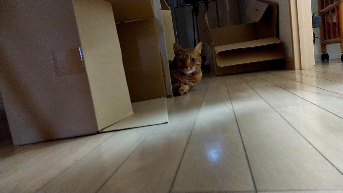 f:id:Betty0918:20210619145356j:plain