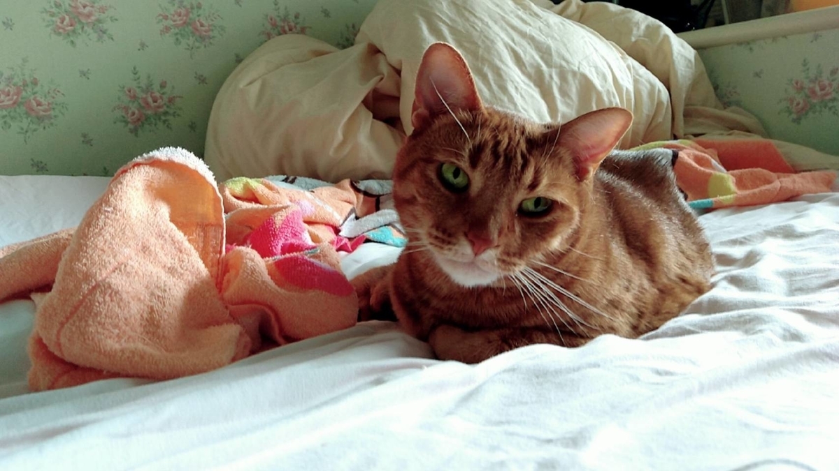 f:id:Betty0918:20210625153947j:plain