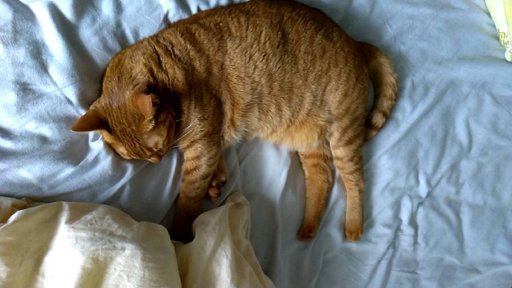 f:id:Betty0918:20210629204737j:plain