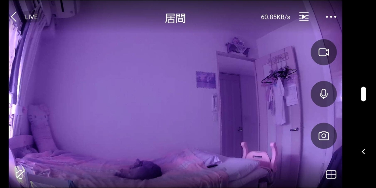 f:id:Betty0918:20210705161259j:plain