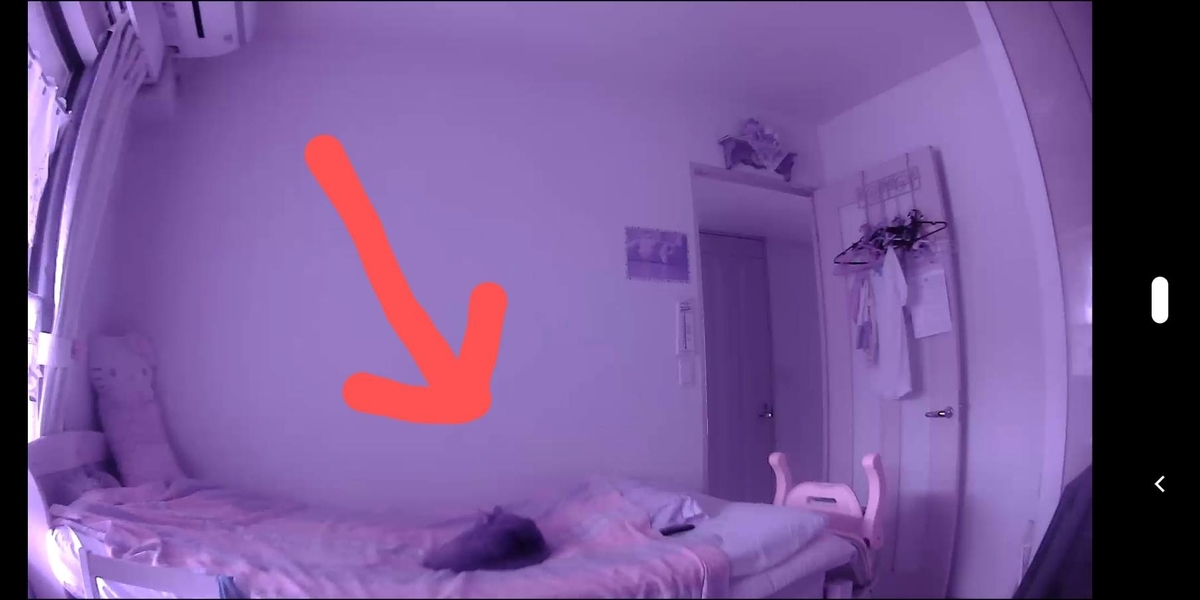 f:id:Betty0918:20210705161515j:plain