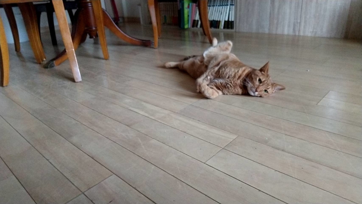 f:id:Betty0918:20210706073344j:plain