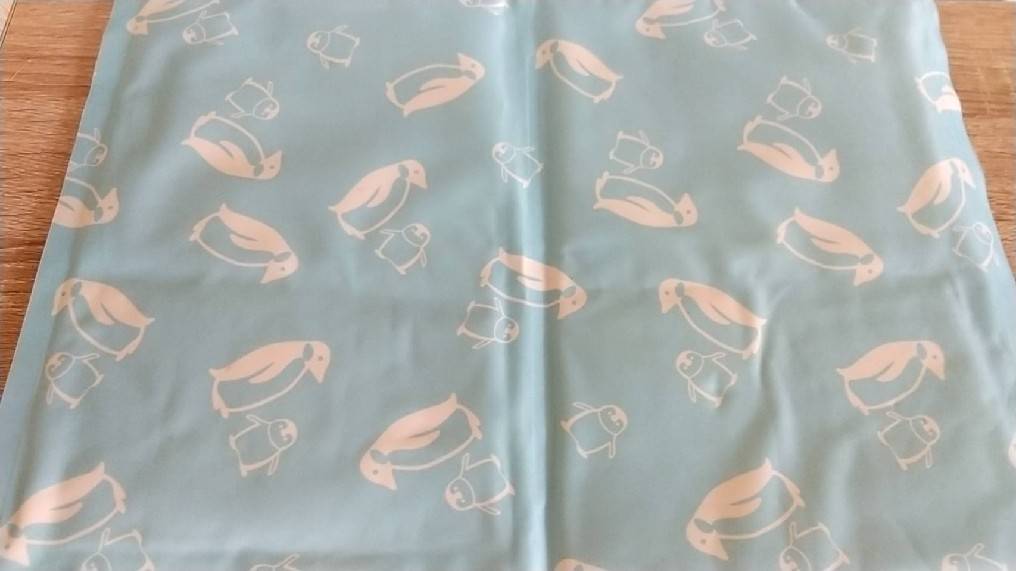 f:id:Betty0918:20210710135103j:plain