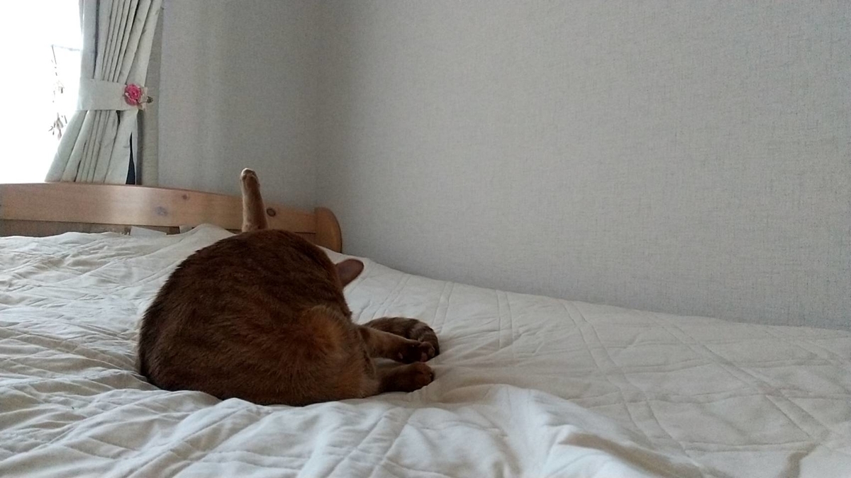 f:id:Betty0918:20210710135233j:plain