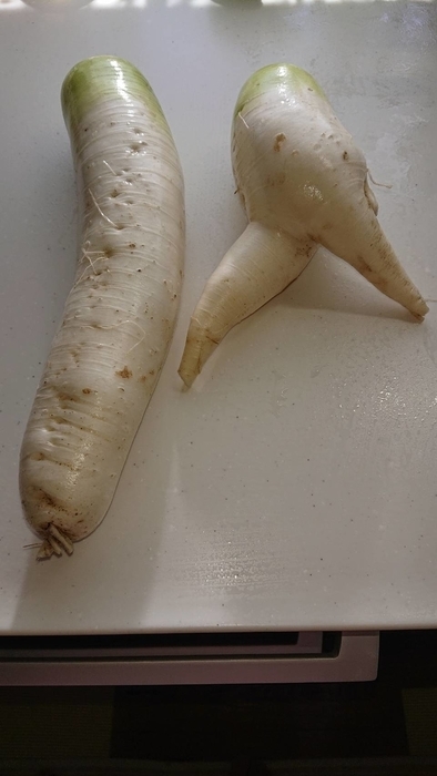 f:id:Betty0918:20210731135611j:plain