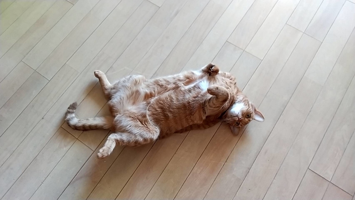 f:id:Betty0918:20210804204819j:plain