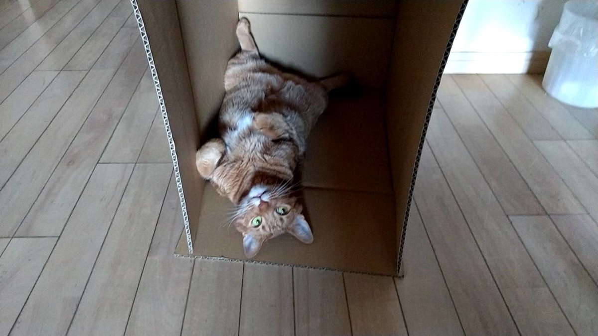 f:id:Betty0918:20210813202843j:plain