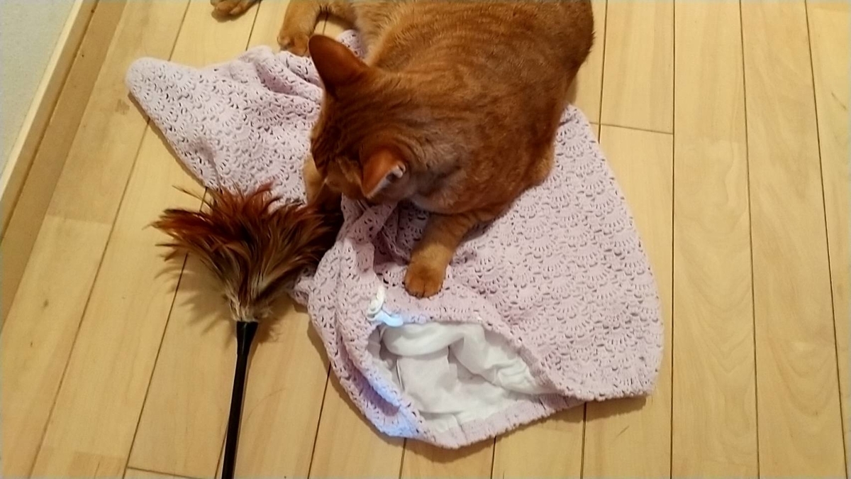 f:id:Betty0918:20210823104821j:plain