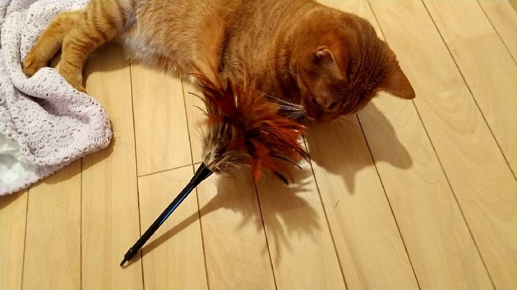 f:id:Betty0918:20210823104932j:plain