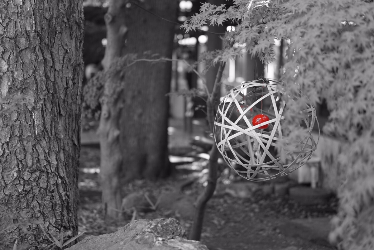 f:id:Betty0918:20210823213102j:plain