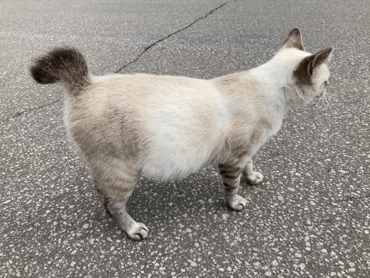 f:id:Betty0918:20210824142226j:plain