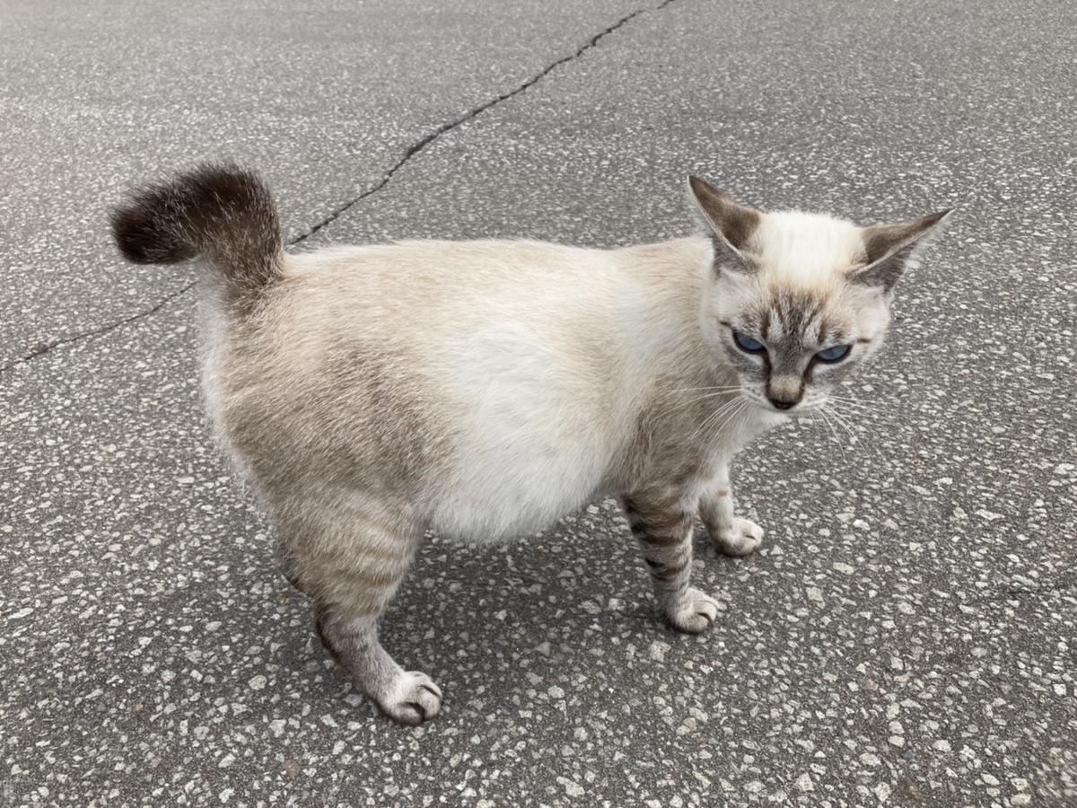 f:id:Betty0918:20210824142334j:plain