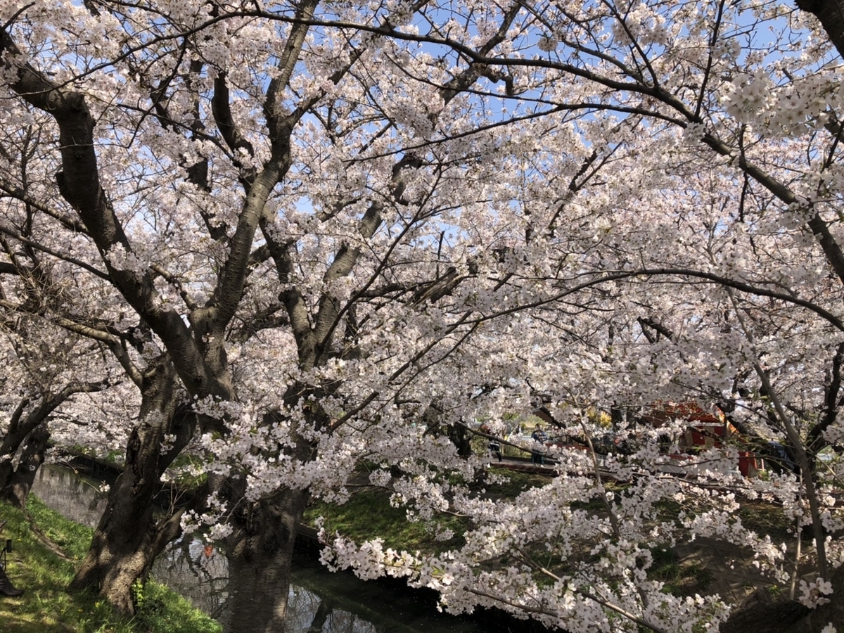 f:id:Betty0918:20210908093508j:plain