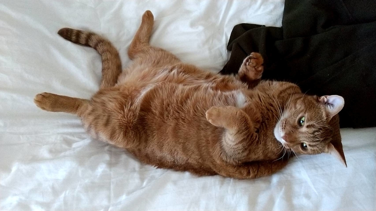 f:id:Betty0918:20210920193130j:plain