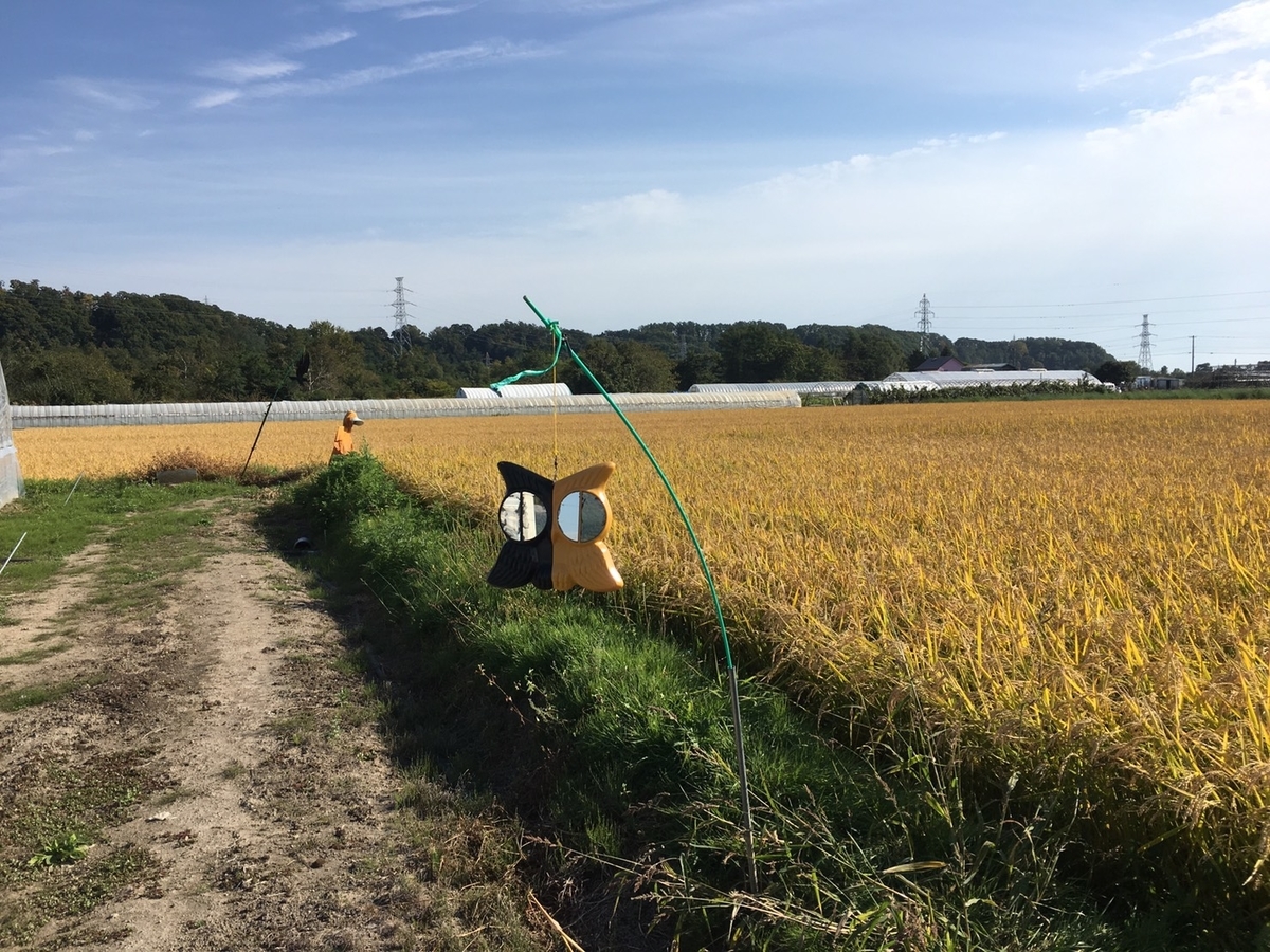 f:id:Betty0918:20210930230334j:plain