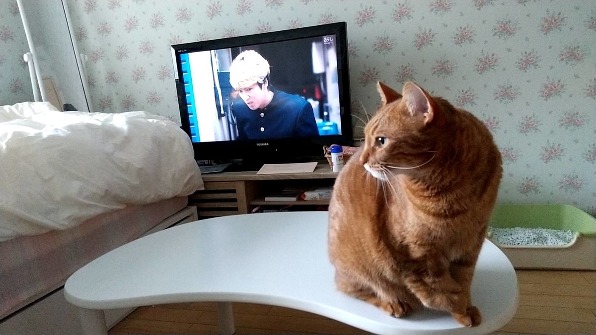 f:id:Betty0918:20211012142238j:plain