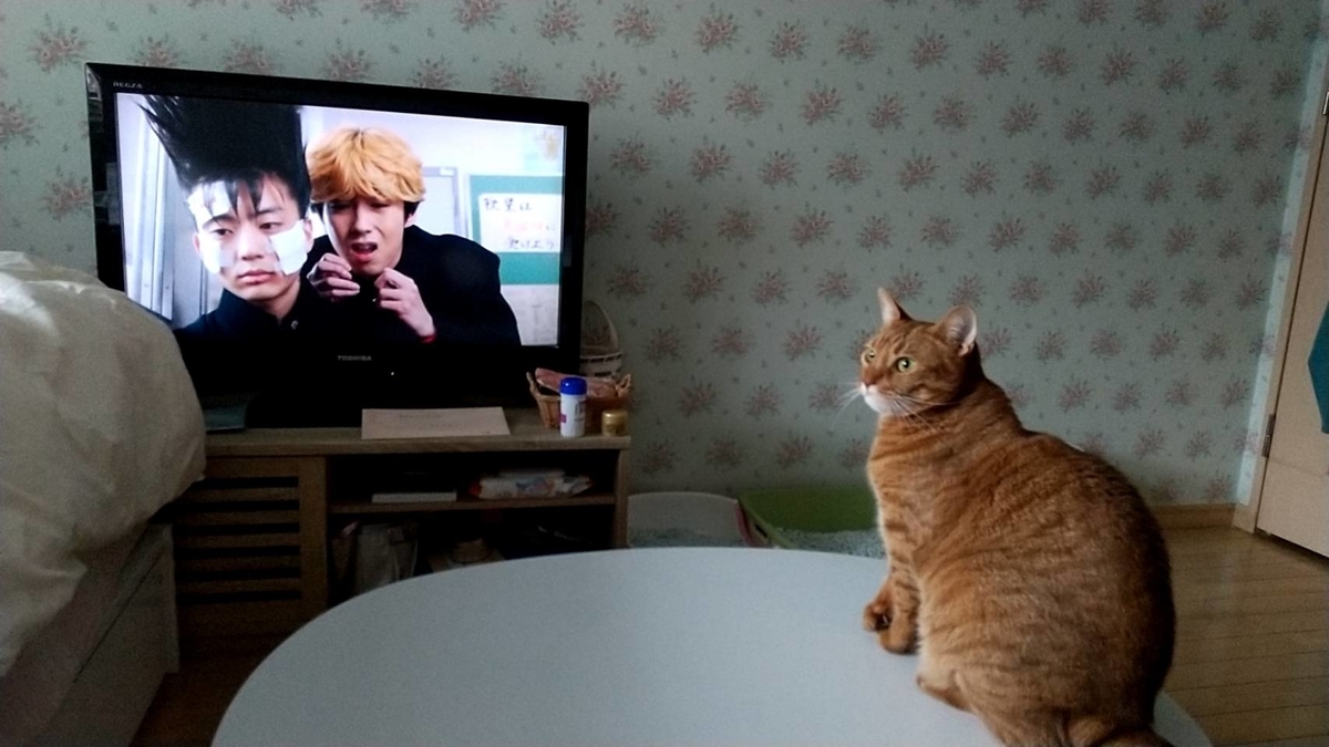 f:id:Betty0918:20211012142800j:plain