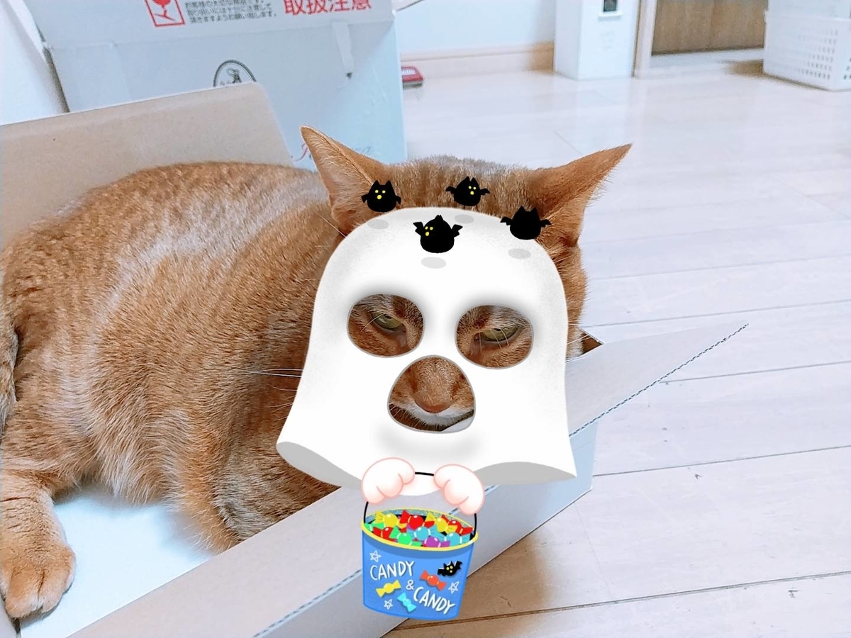 f:id:Betty0918:20211019142457j:plain