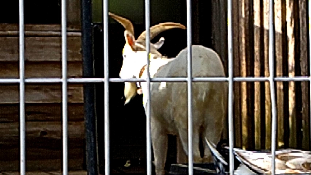 f:id:Betty0918:20211021140608j:plain