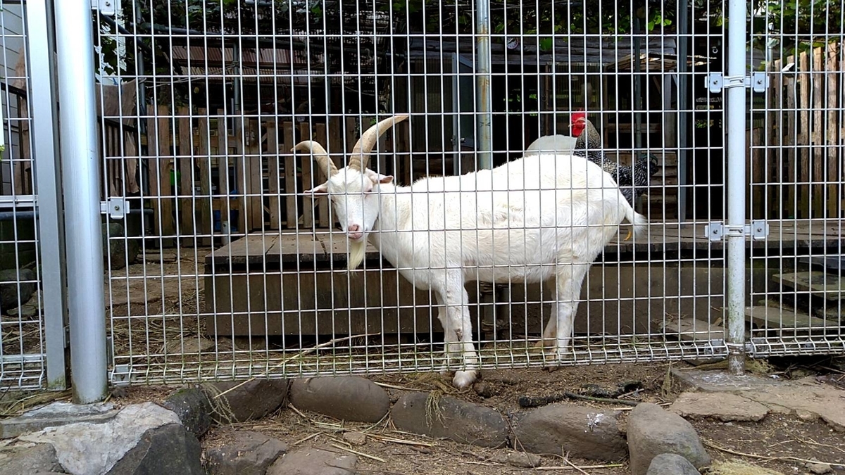 f:id:Betty0918:20211021140726j:plain