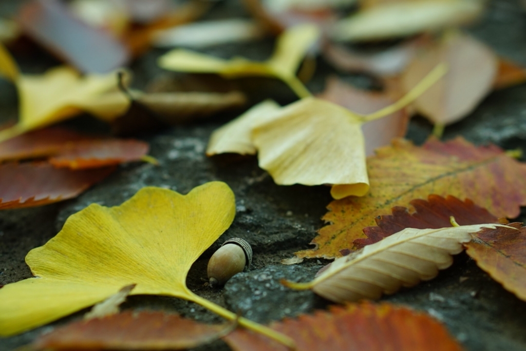 f:id:Betty0918:20211025143930j:plain