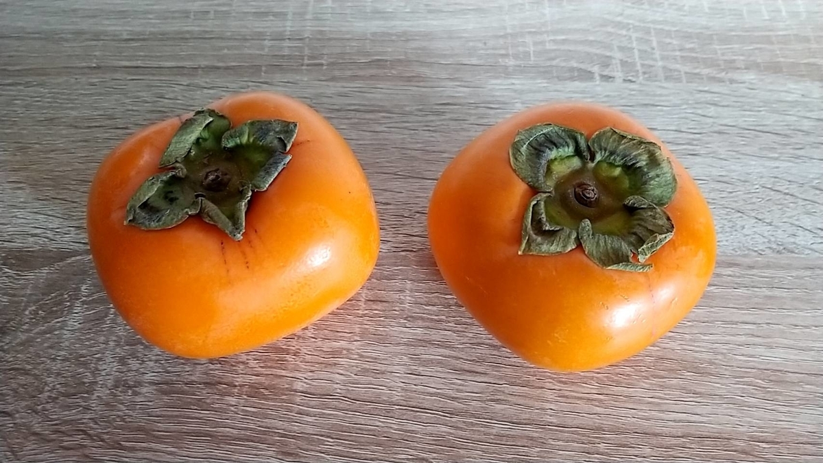 f:id:Betty0918:20211116130358j:plain