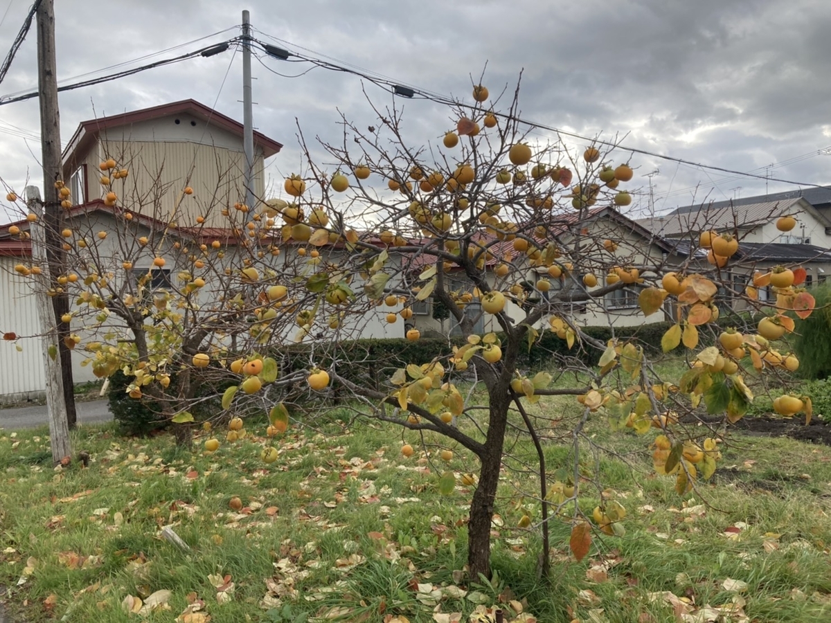 f:id:Betty0918:20211116133449j:plain