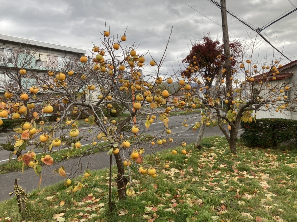 f:id:Betty0918:20211116133536j:plain