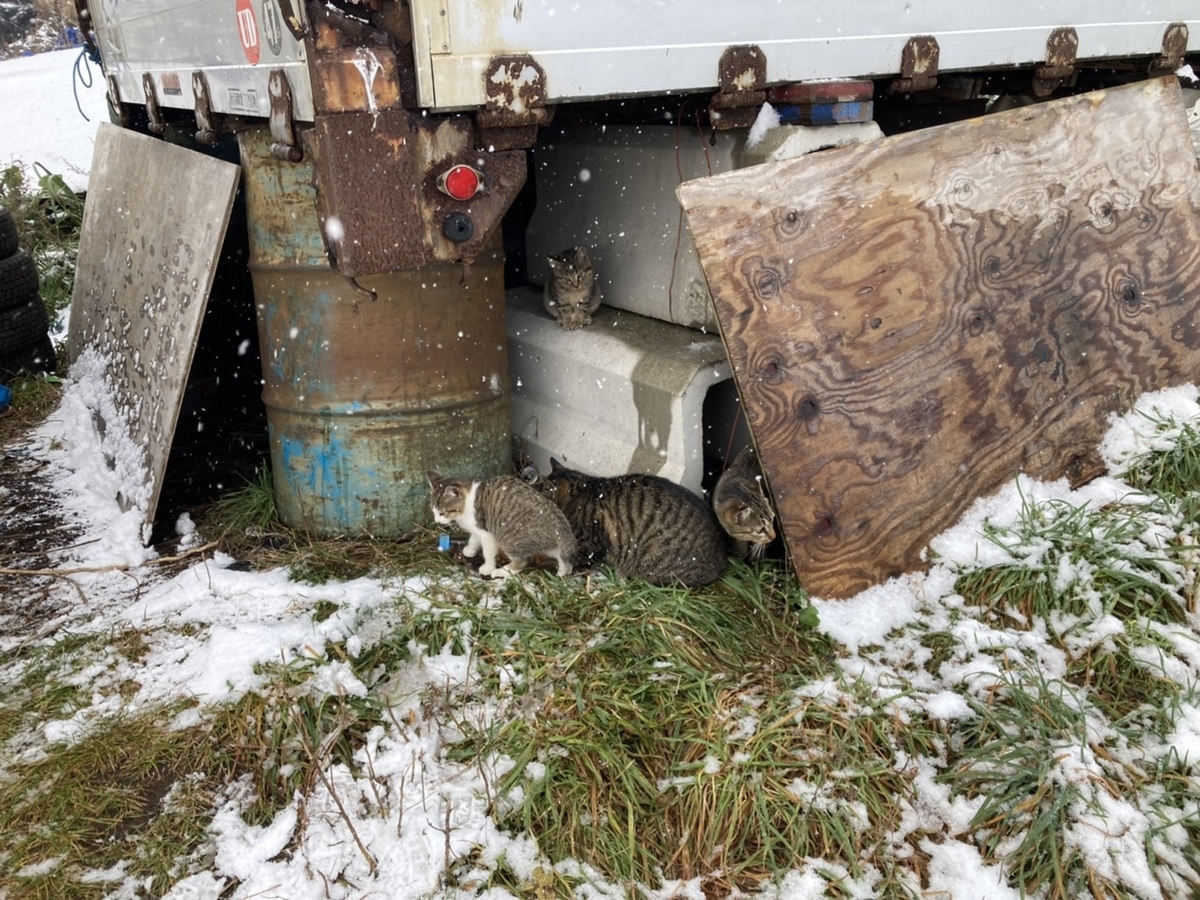 f:id:Betty0918:20211124152302j:plain