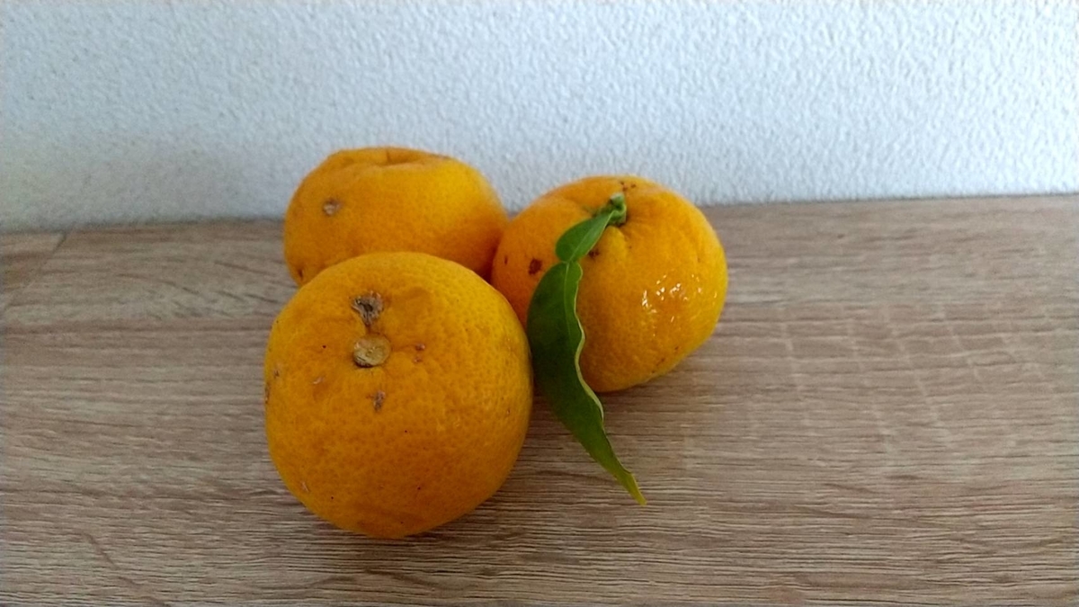 f:id:Betty0918:20211130111236j:plain