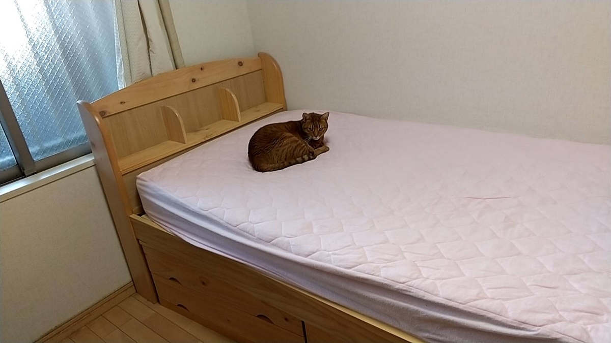 f:id:Betty0918:20211130125026j:plain