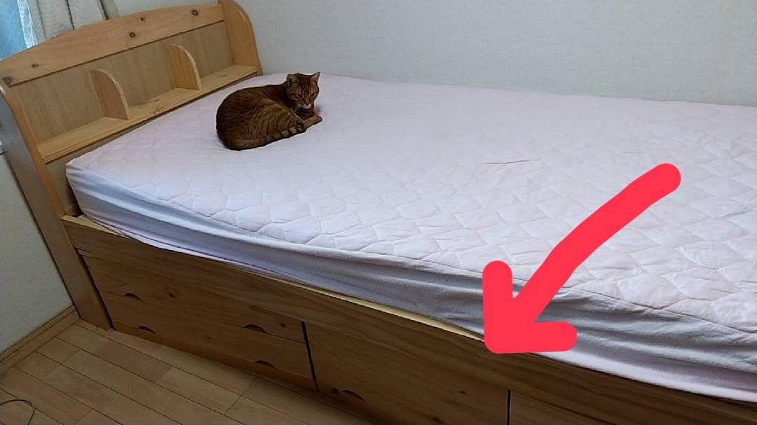 f:id:Betty0918:20211130125140j:plain