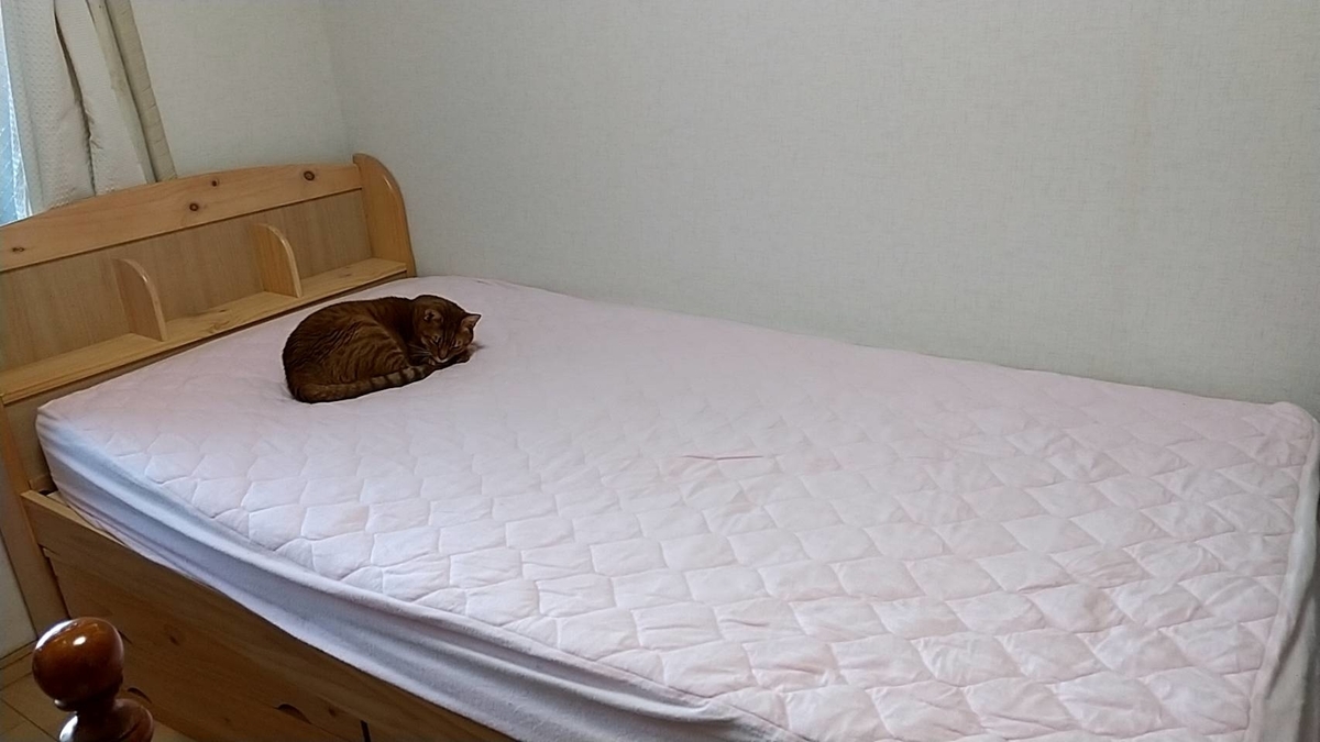 f:id:Betty0918:20211130150056j:plain