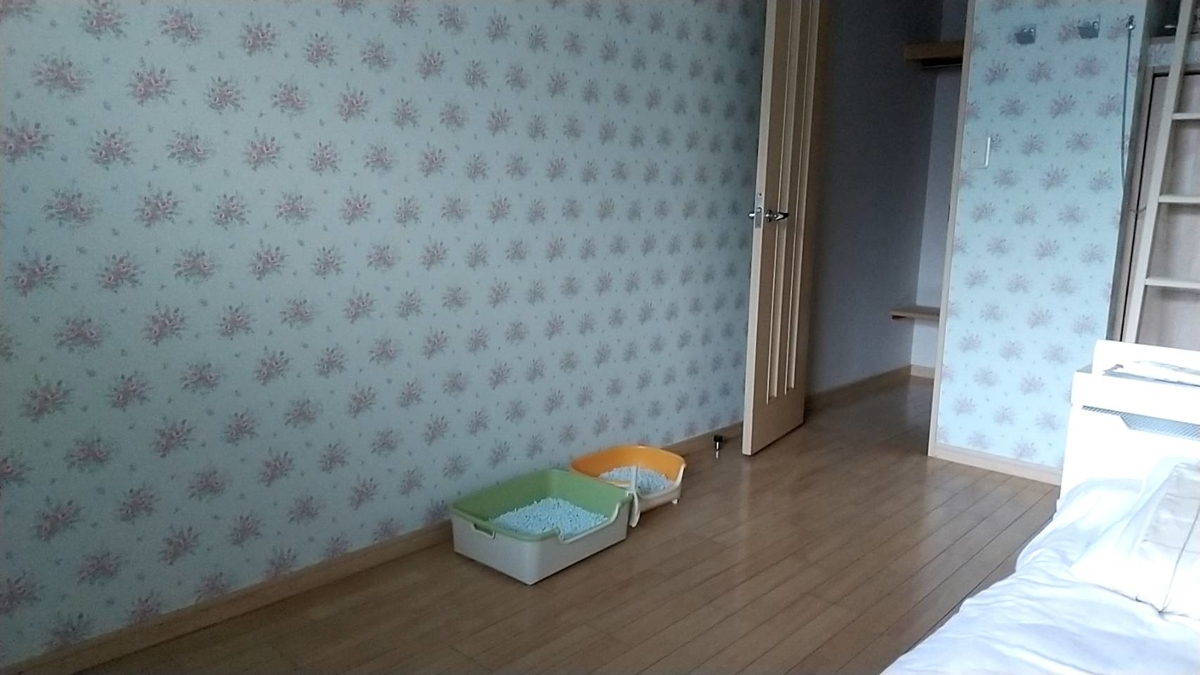 f:id:Betty0918:20211201152724j:plain