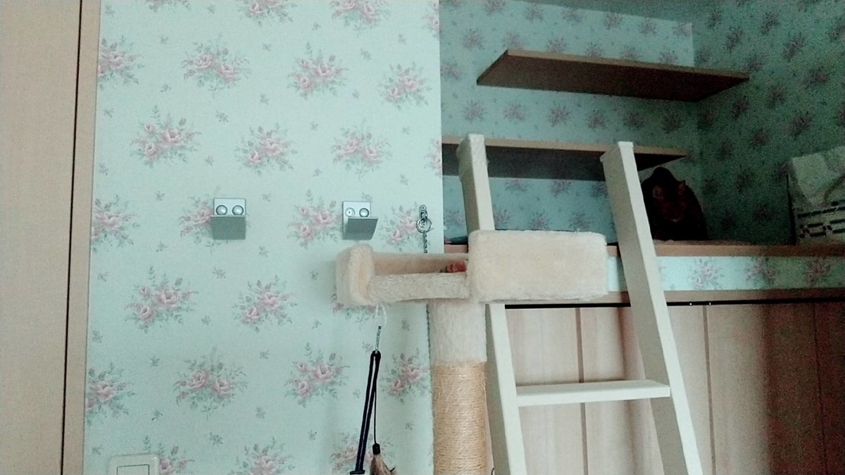 f:id:Betty0918:20211201153020j:plain