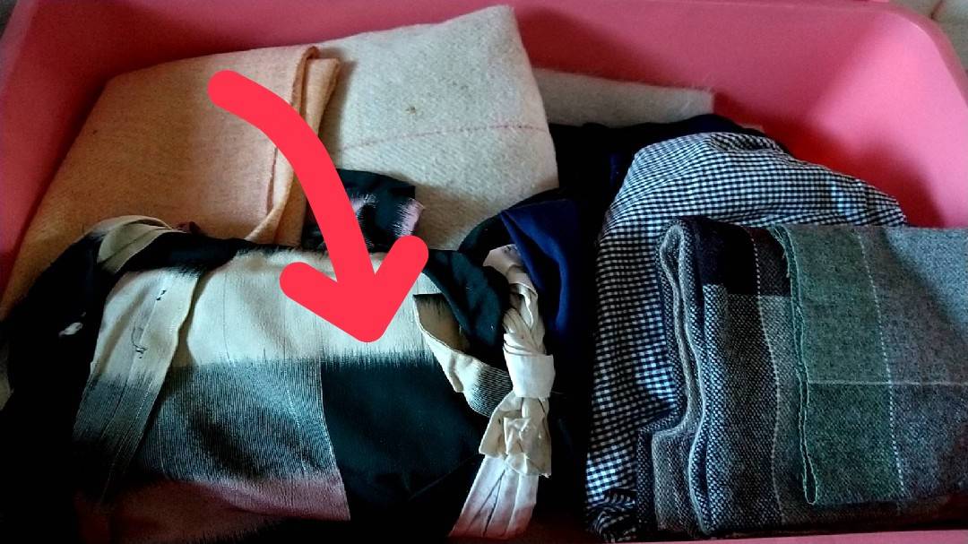 f:id:Betty0918:20211202173400j:plain