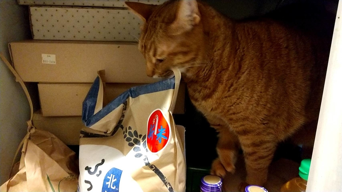 f:id:Betty0918:20211210121618j:plain