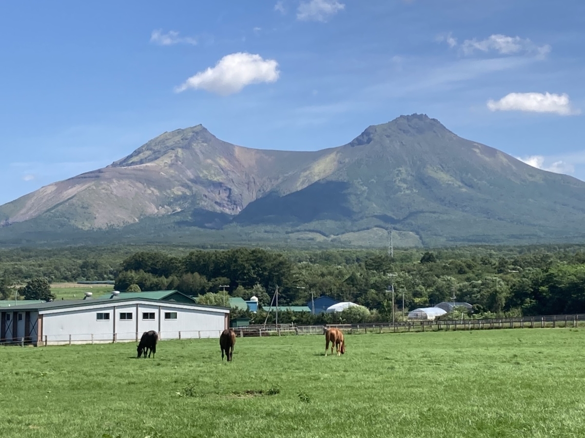 f:id:Betty0918:20211213203054j:plain