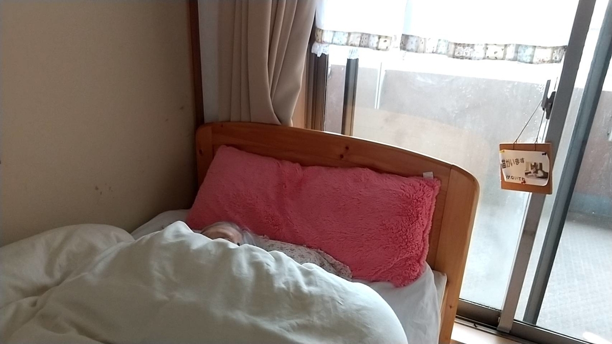 f:id:Betty0918:20211214150110j:plain