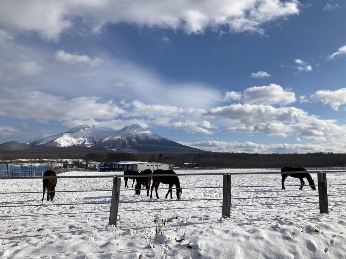 f:id:Betty0918:20211223153448j:plain