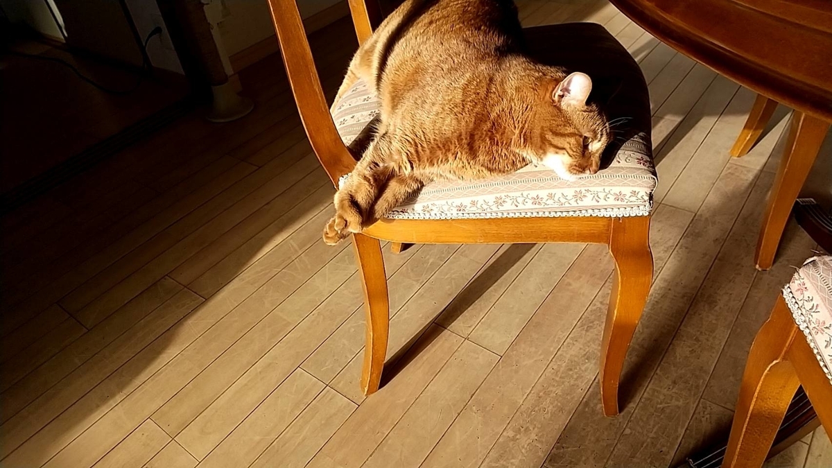 f:id:Betty0918:20211224150638j:plain