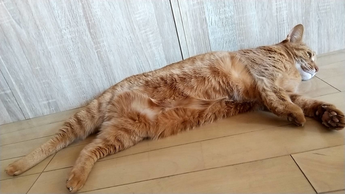 f:id:Betty0918:20220105094259j:plain