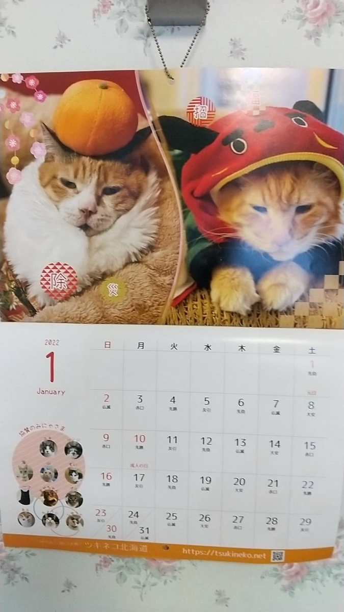 f:id:Betty0918:20220106115851j:plain