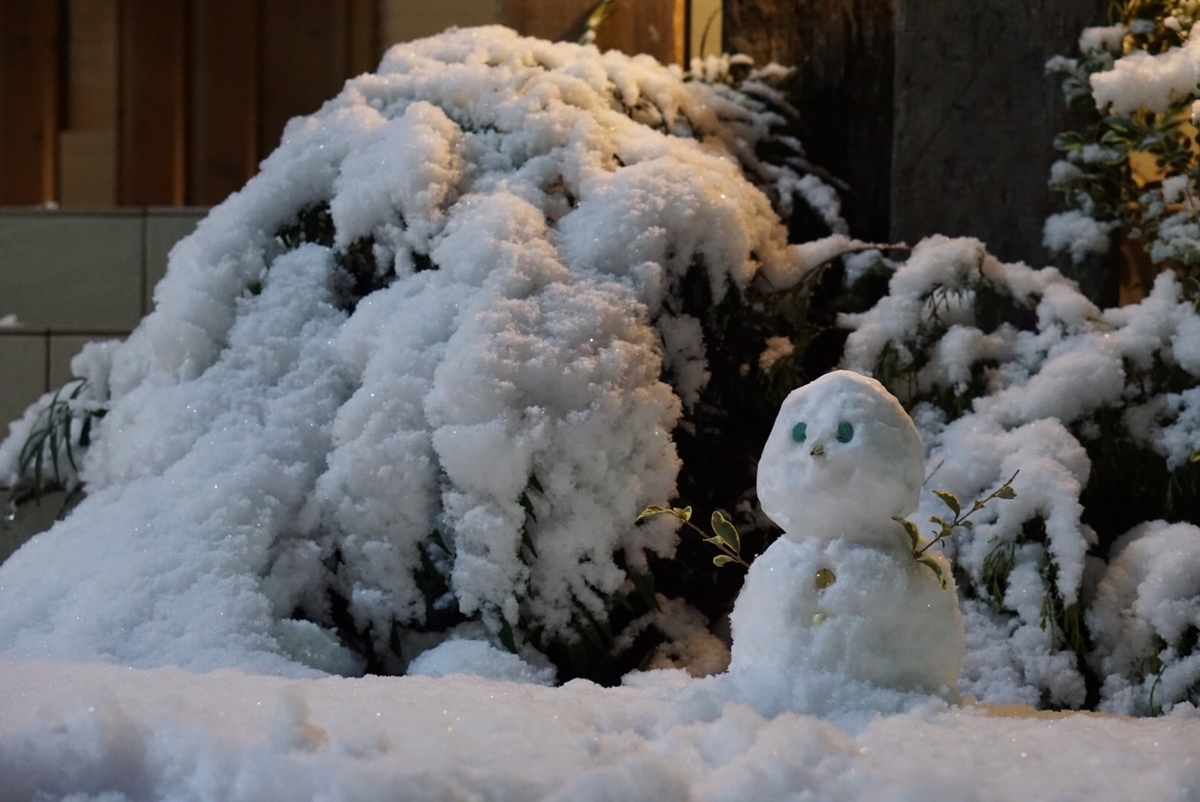 f:id:Betty0918:20220107135544j:plain