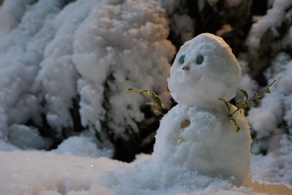 f:id:Betty0918:20220107135638j:plain