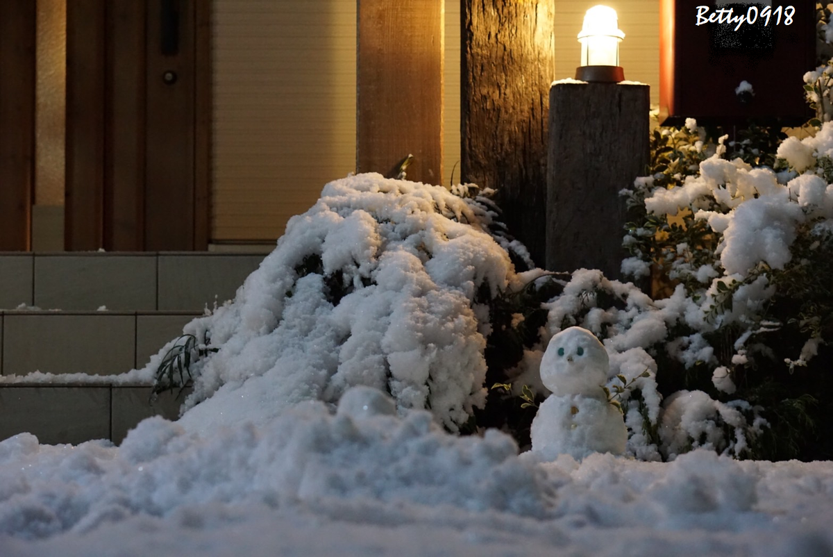 f:id:Betty0918:20220107171731p:plain