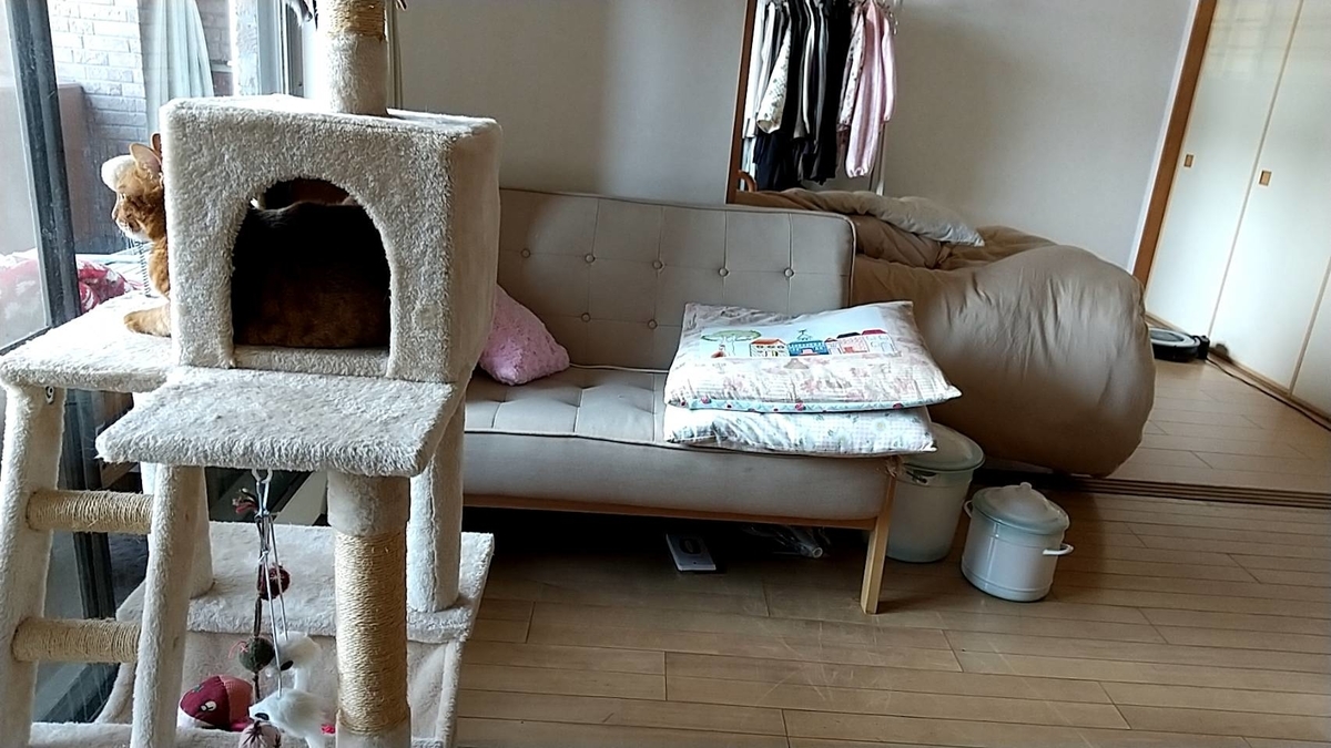 f:id:Betty0918:20220110122934j:plain